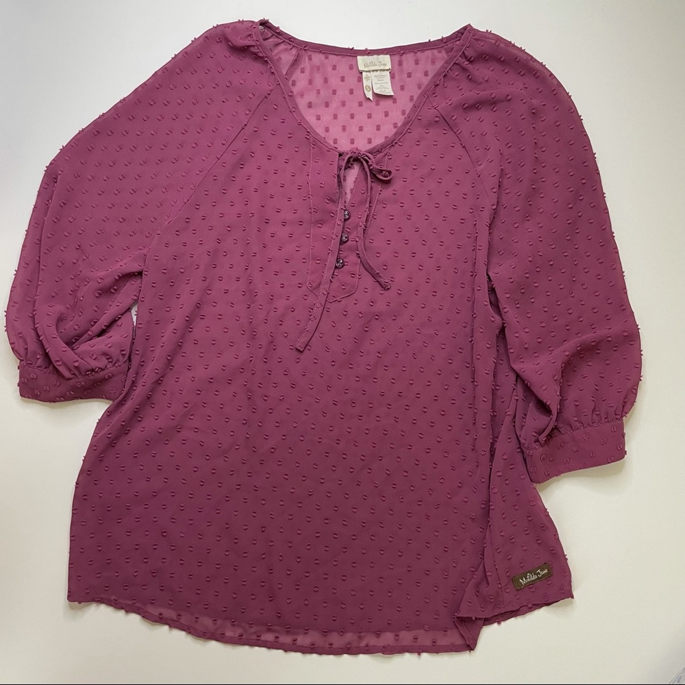 🍭3 for $10🍭 Matilda Jane sheer Swiss dot blouse